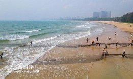 海南赶海爆料视频大全集,揭秘大海中的丰收盛宴