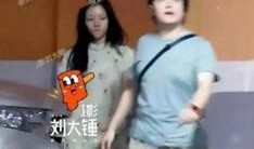 刘大锤最新爆料任敏漫画,刘大锤独家爆料揭秘幕后故事