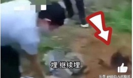 逃生最新爆料视频大全集,惊险瞬间，生死攸关！