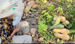 新昌吃瓜最新事件爆料视频,揭秘幕后真相，视频爆料引发热议